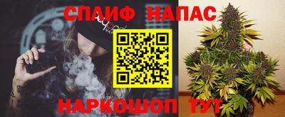 амф Гусь-Хрустальный