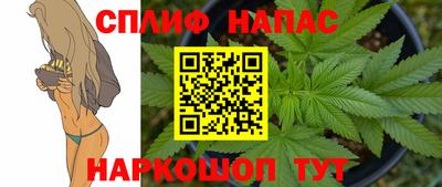 амф Гусь-Хрустальный